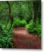 Pink Beds Trail Ii Metal Print