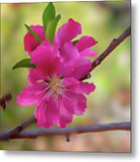 Pink Cherry Blossoms And Bees Digital Art Metal Print