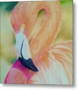 Pink Flamingo Portrait Metal Print