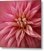 Pink Invasion Metal Print