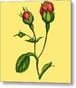Pink Roses On Yellow Background Metal Print