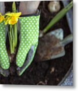 Planting Daffodils Metal Print