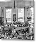 Plants In The Vineyard Greenhouse Window Black And White Metal Print