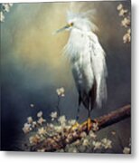 Plumes Of Spring Metal Print