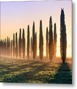 Poggio Covili Metal Print