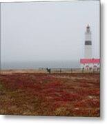 Point Amour Lighthouse In L'anse-amour Metal Print