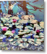 Pond Lilies At The End Of Summer Metal Print