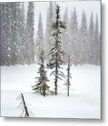 Ponderance Metal Print