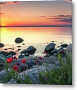 Poppies By The Sea Metal Print