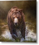 Power Of The Grizzly Metal Print