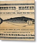 Preserved Mackerel Metal Print