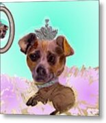 Princess Rubee Metal Print