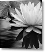 Promise Of Purity Metal Print