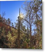 Providence Canyon From The Bottom Metal Print