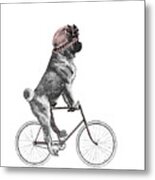 Pug On A Bike Metal Print