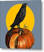Pumpkin Halloween Crow Metal Print