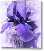 Purple Iris 2 Metal Print