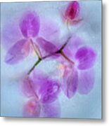 Purple Orchid In Blue Ice Metal Print