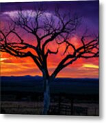 Purple Sunset With The Taos Tree Metal Print