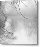 Putah Creek On A Foggy Morning Metal Print