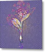 Pygmy Hyacinth Mosaic Botanical Art On Veri Peri N.0321 Metal Print
