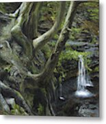 Quiet Place In Wissahickon Park Metal Print