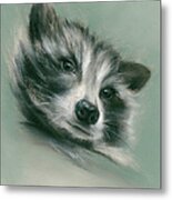 Raccoon Furry Woodland Creature Metal Print