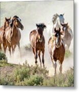 Racing To The Water Hole Metal Print