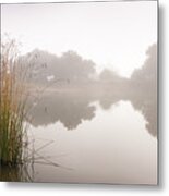 Ramona Grasslands Pond In Fog And Smoke Metal Print