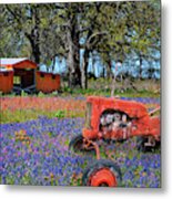 Red All About It Metal Print