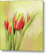 Red And Yellow Tulips Metal Print