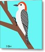 Red Bellied Texas Woodpecker Metal Print