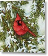 Red Cardinal Bird On Winter Spruce Branch Metal Print
