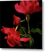 Red Is For Passion Metal Print