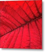 Red Leaf Metal Print