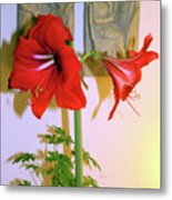 Red Lion Amaryllis Metal Print