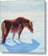 Red Pony In The Snow Metal Print