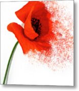 Red Poppy Metal Print