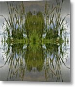 Reed Leaves, Water And Symmetry 3 Metal Print