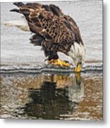 Reflection Drinks Metal Print