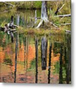 Reflection In A Beaver Pond #5039 Metal Print