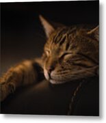 Relax, You Nailed It (sony A7r Iii) Metal Print