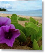 Relaxing Flowers In The Sand Metal Print