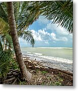 Relaxing Under The Palms, Loiza, Puerto Rico Metal Print