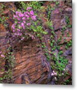 Rhododendron In Bloom Metal Print