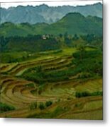 Rice Fields And Mountains, Vietnam Metal Print