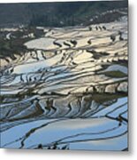 Rice Terraces Chinese Restaurant Decoration Metal Print