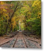 Ride Into The Colors Of Fall Metal Print