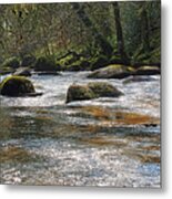 River Dart In Winter, Devon. Metal Print