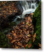 River Flowing With Maple Leaves On The Rocks On The Riverside In Autumn Season Metal Print
